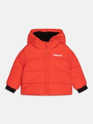 Kurtka zimowa Timberland