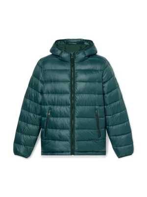 Kurtka zimowa Timberland ciemnozielony