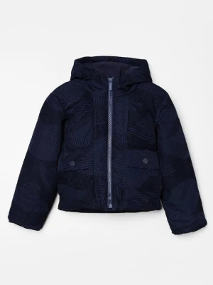 Kurtka zimowa Timberland niebieski