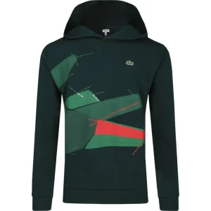 Lacoste Bluza | Regular Fit