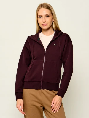Lacoste Bluza | Regular Fit bordowy