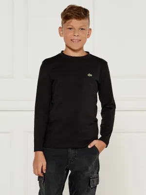 Lacoste Bluzka | Regular Fit