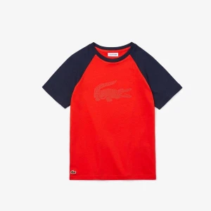 Lacoste Chłopięcy Bawełniany Dwukolorowy T-Shirt Z Nadrukiem Krokodyla