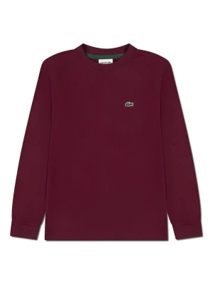 Lacoste Kids Bluza w kolorze czerwonym rozmiar: 152