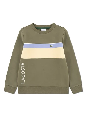 Lacoste Kids Bluza w kolorze khaki rozmiar: 176