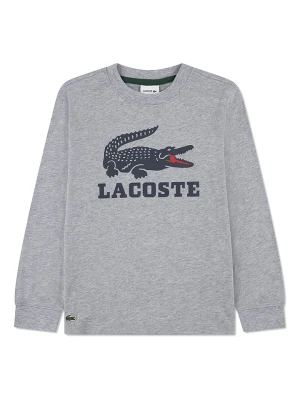 Lacoste Kids Bluza w kolorze szarym rozmiar: 152