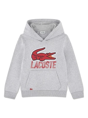 Lacoste Kids Bluza w kolorze szarym rozmiar: 176