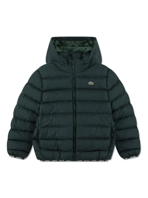 Lacoste Kids Kurtka pikowana w kolorze zielonym rozmiar: 152