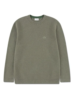 Lacoste Kids Sweter w kolorze khaki rozmiar: 164