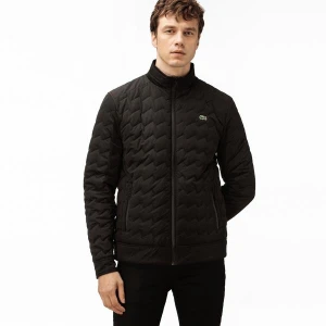 Lacoste Kurtka Męska