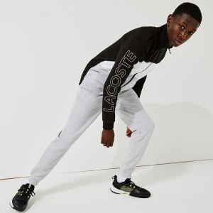 Lacoste Męska bluza polarowa, z nadrukiem, w bloki kolorystyczne