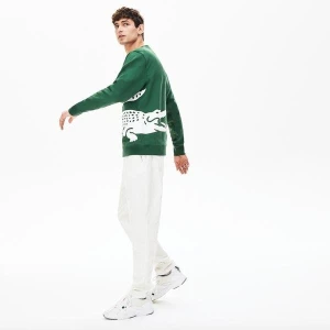 Lacoste Męska Luźna Bluza Z Nadrukiem Krokodyla Z Okrągłym Dekoltem