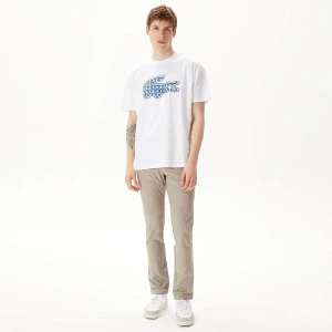 Lacoste spodnie męskie