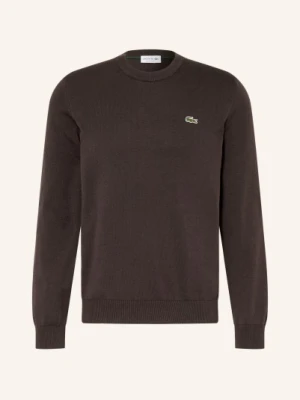 Lacoste Sweter braun