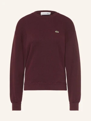 Lacoste Sweter rot CIEMNOBRĄZOWY