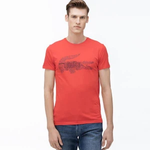 Lacoste T-Shirt Męski Z Okrągłym Wycięciem Pod Szyją