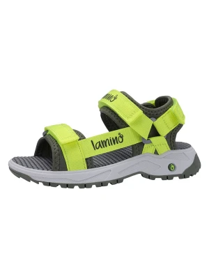 lamino Sandały w kolorze zielonym rozmiar: 34