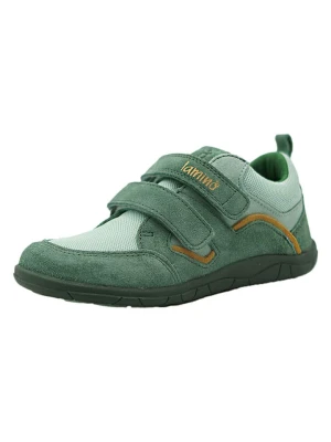lamino Skórzane buty barefoot w kolorze zielonym rozmiar: 30