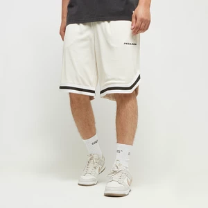 LANSING BASKETBALL SHORTS SALTY CREAM, marki PegadorApparel, w kolorze Beż, rozmiar