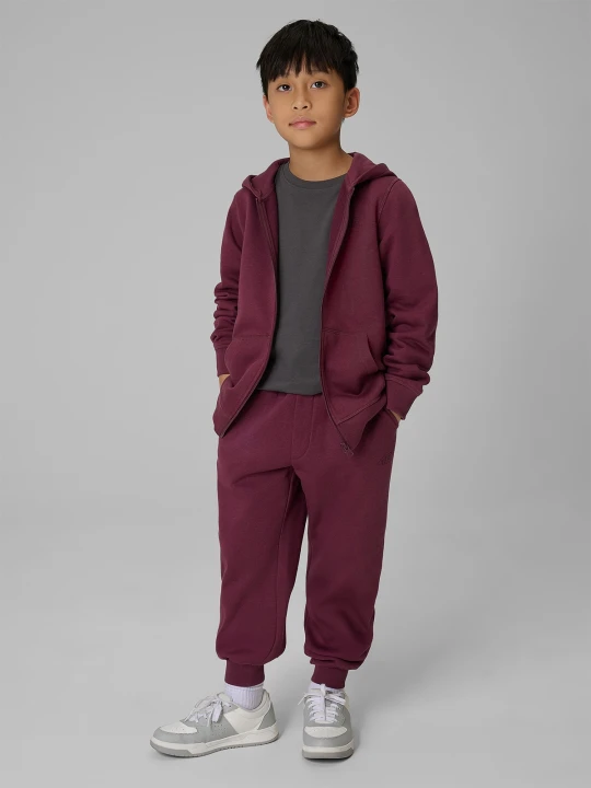 Zdjęcie produktu 4F Bluza dresowa regular z kapturem chłopięca - burgundowa 158 (12-13 lat) Czerwony