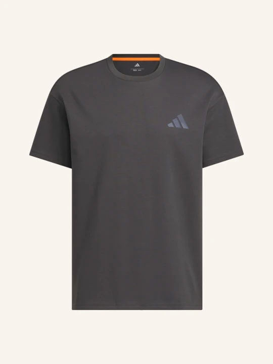 Zdjęcie produktu Adidas Terrex Koszulka Graphic grau CZIEMNOSZARY