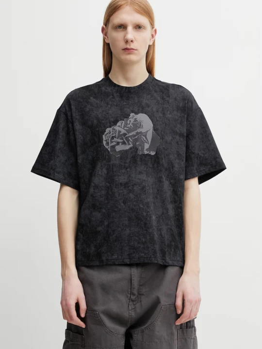 Zdjęcie produktu Alpha Industries Desert Rose t-shirt bawełniany męski