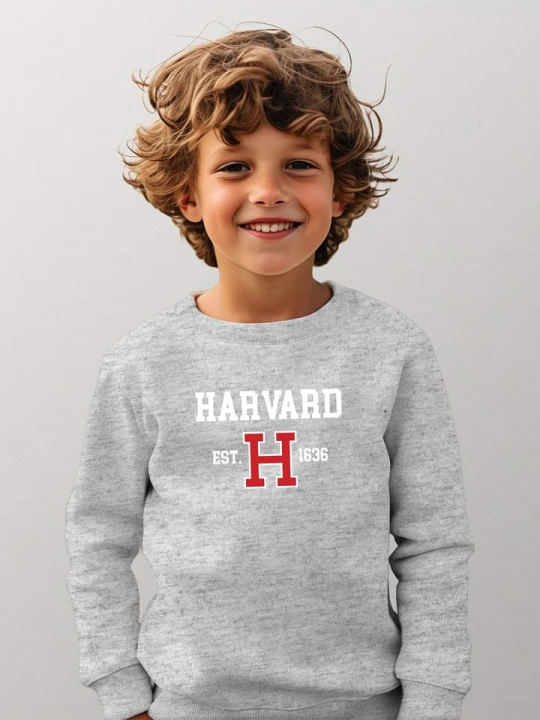 Zdjęcie produktu American Universities Bluza "Harvard Est 1636" w kolorze szarym rozmiar: 140
