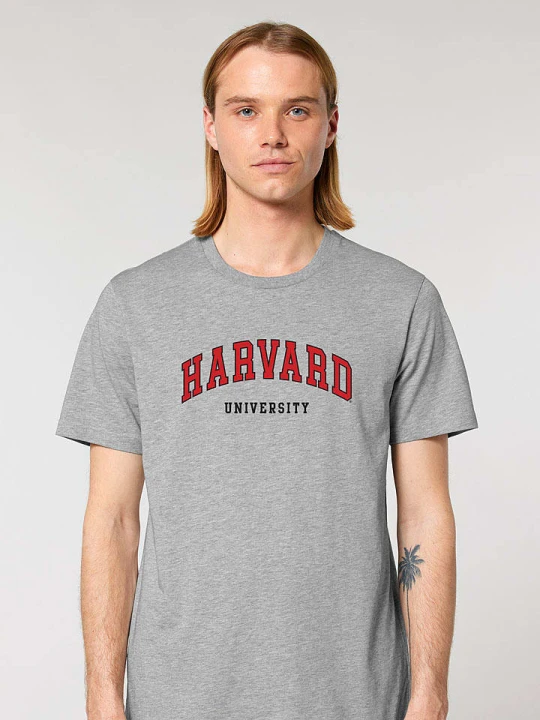 Zdjęcie produktu American Universities Koszulka "Havard University" w kolorze szarym rozmiar: M