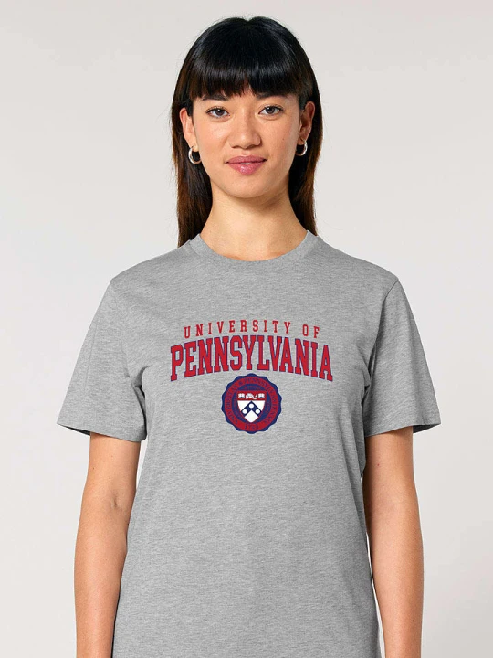 Zdjęcie produktu American Universities Koszulka "University of Pennsylvania" w kolorze szarym rozmiar: XL