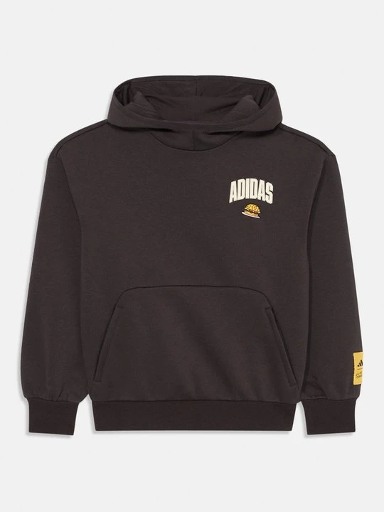Zdjęcie produktu Bluza z kapturem Adidas brązowy