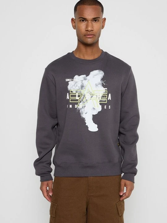 Zdjęcie produktu Bluza Alpha Industries szary