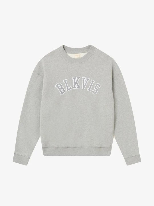 Zdjęcie produktu Bluza BLKVIS szary