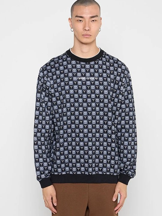 Zdjęcie produktu Bluza Carlo Colucci szary