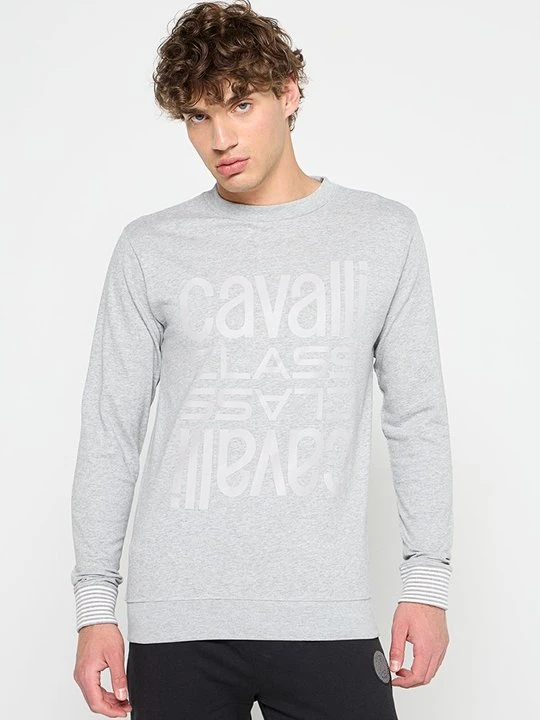 Zdjęcie produktu Bluza Cavalli Class szary