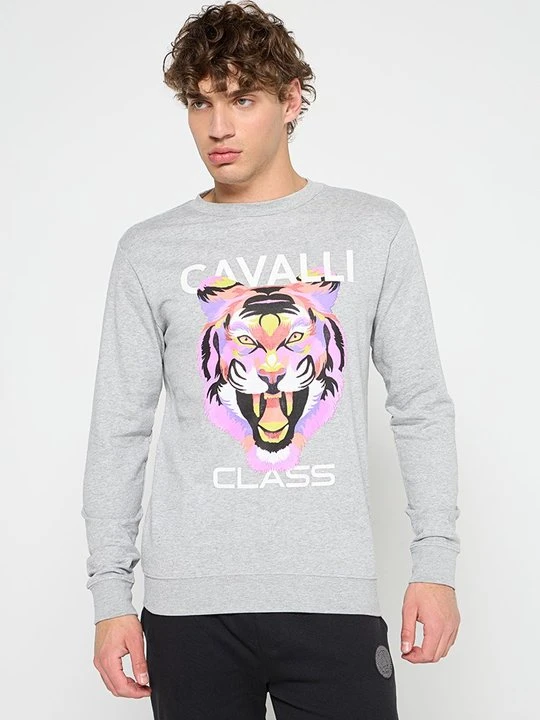 Zdjęcie produktu Bluza Cavalli Class szary