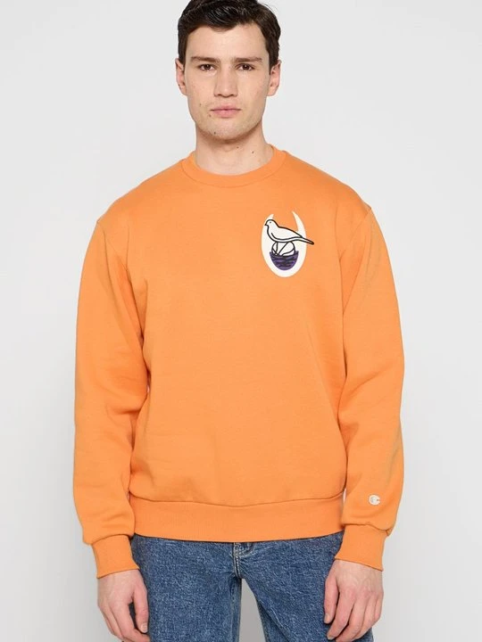 Zdjęcie produktu Bluza Champion pomarańczowy