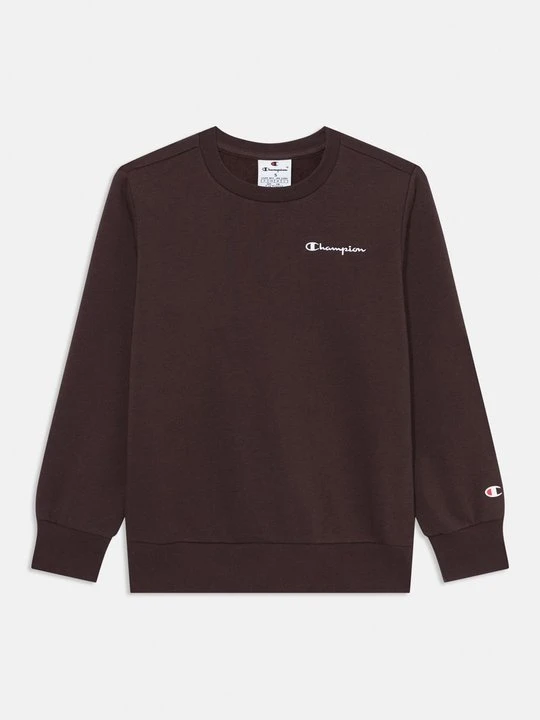 Zdjęcie produktu Bluza Champion bordowy