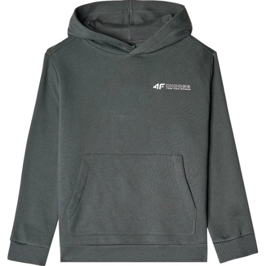Zdjęcie produktu Bluza chłopięca TSWSM1229 4F Zielony