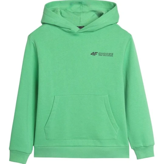 Zdjęcie produktu Bluza chłopięca TSWSM1229 4F Zielony