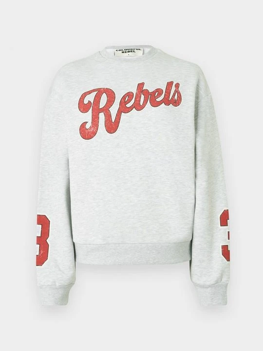 Zdjęcie produktu Bluza Colourful Rebel szary