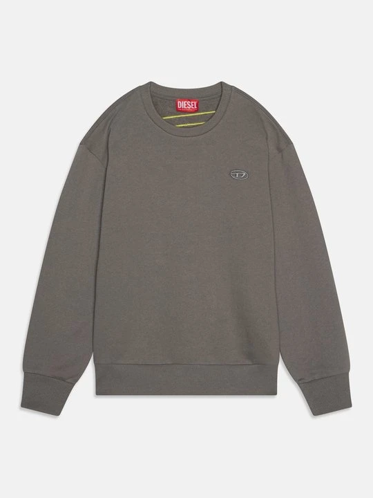 Zdjęcie produktu Bluza Diesel szary