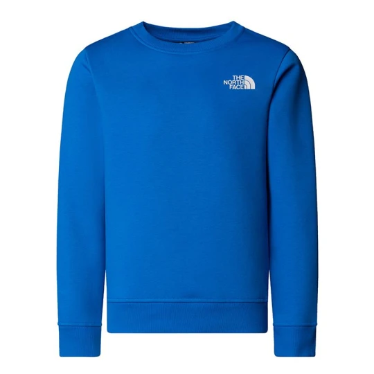 Zdjęcie produktu Bluza dziecięca The North Face Raglan Box NSE 0A89H7T4S1 - niebieska