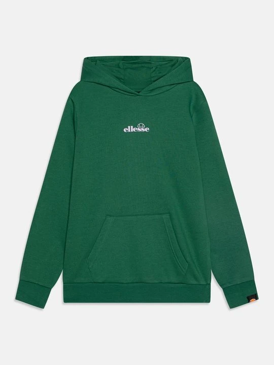 Zdjęcie produktu Bluza Ellesse zielony