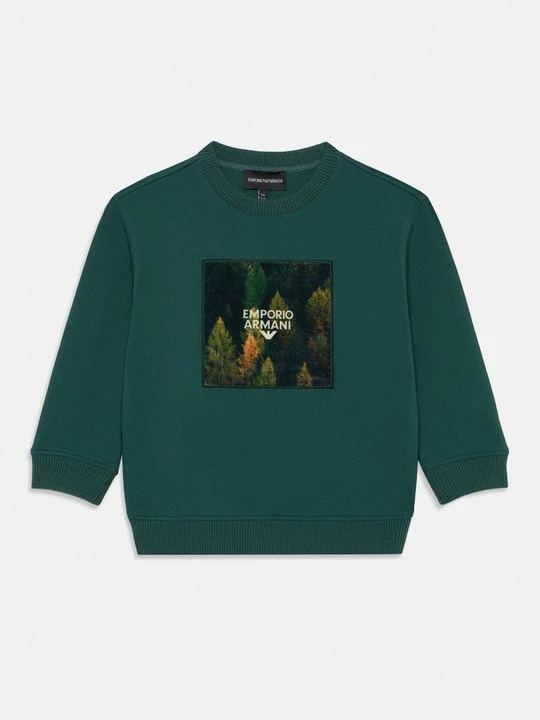 Zdjęcie produktu Bluza Emporio Armani zielony