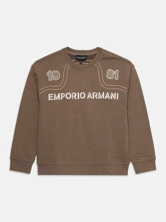 Zdjęcie produktu Bluza Emporio Armani brązowy