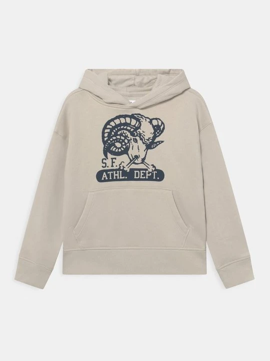 Zdjęcie produktu Bluza GAP jasnoszary