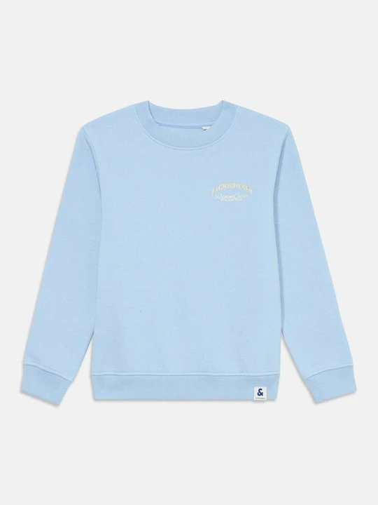 Zdjęcie produktu Bluza Jack&Jones jasnoniebieski