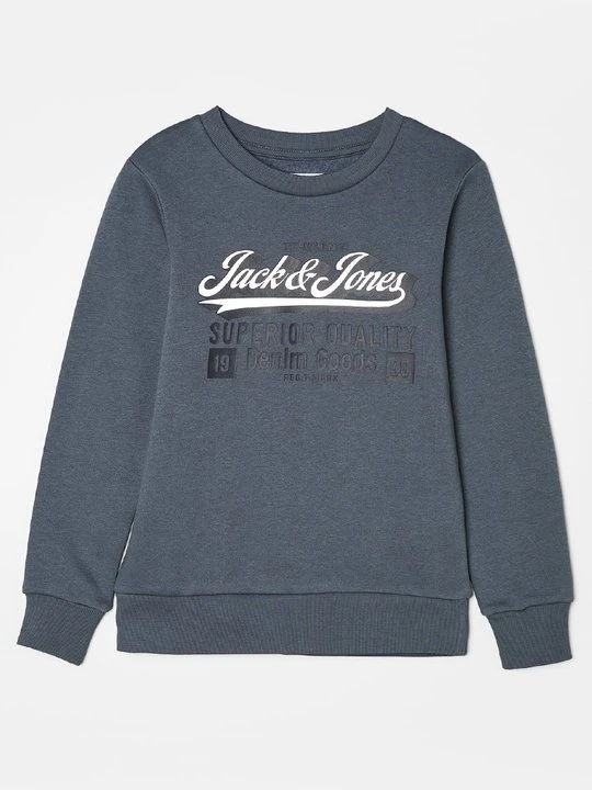 Zdjęcie produktu Bluza Jack&Jones szary