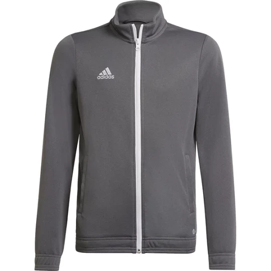 Zdjęcie produktu Bluza juniorska Entrada 22 Full Zip Adidas Szary