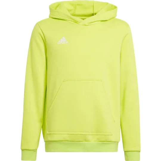 Zdjęcie produktu Bluza juniorska Entrada 22 Hoody Adidas Zielony